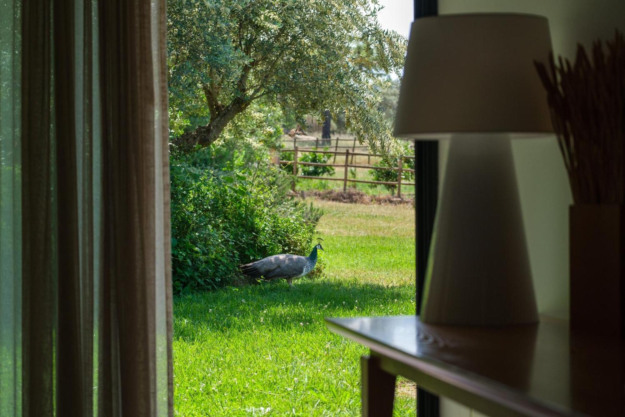 Herdade Da Cortesia Hotel Αβίς Εξωτερικό φωτογραφία